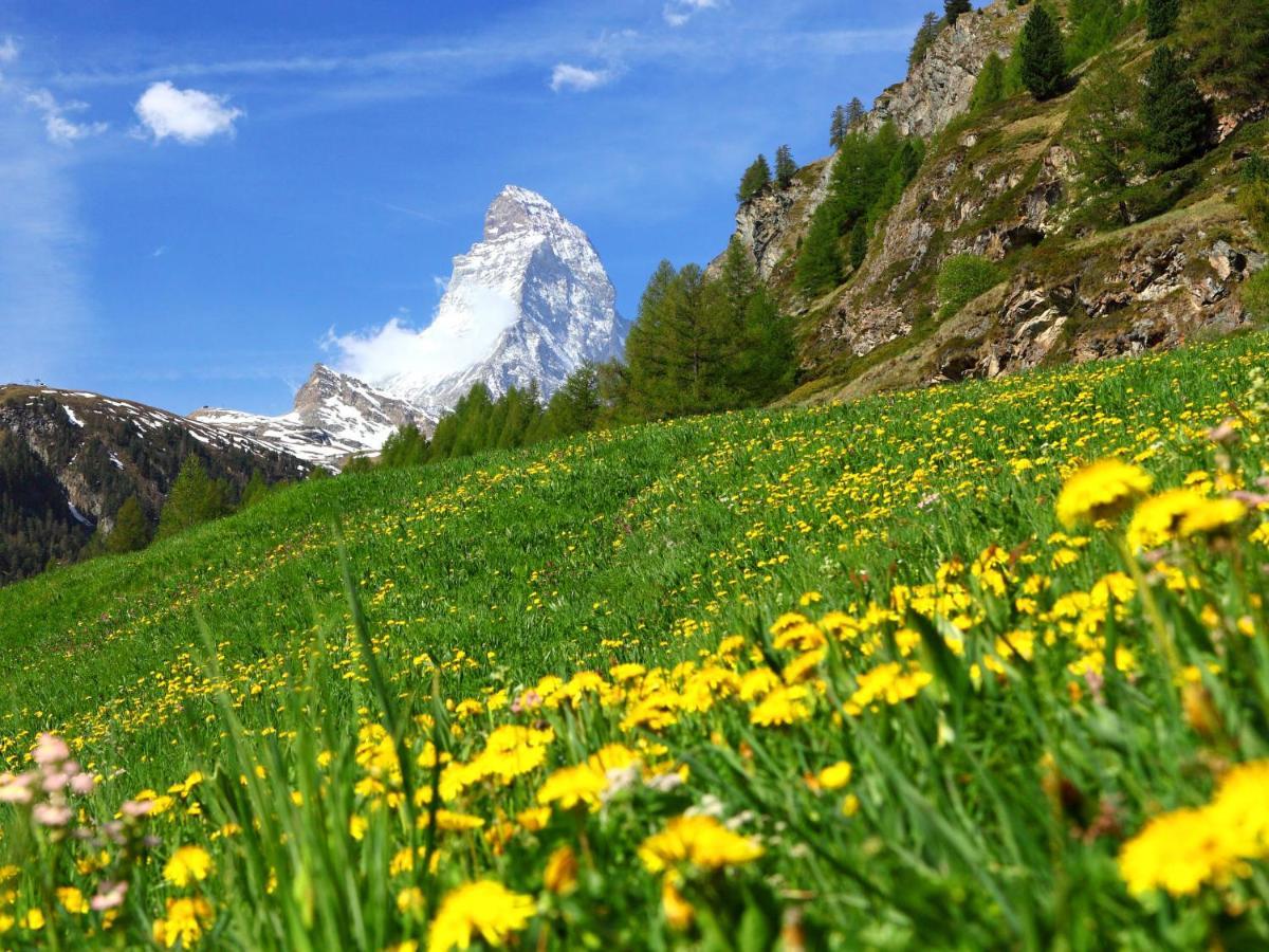 Apartment Imperial-4 By Interhome Zermatt Exterior foto